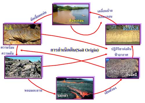 คลิกเพื่อขยายรูป