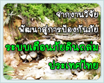 อ่านข่าว..